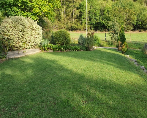 Immerblüht GmbH